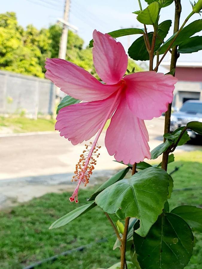 B-Tel Chomthong Resort Chiang Mai Chom Thong Luaran gambar